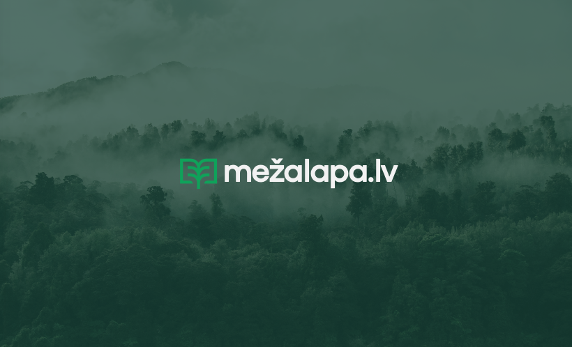 VOTTA_LAB_Brand-Strategy-Identity_10